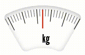 Loading animation